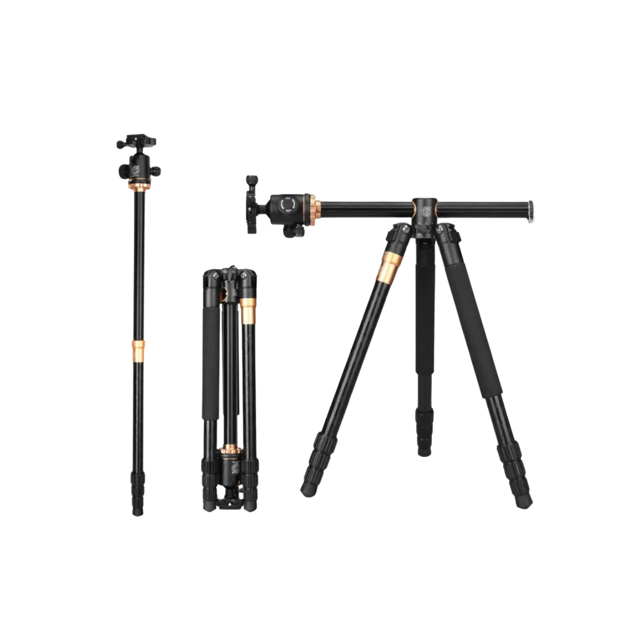 Tripode QZSD Q999H